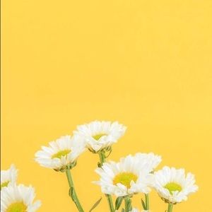 Meet your Posher, Clare